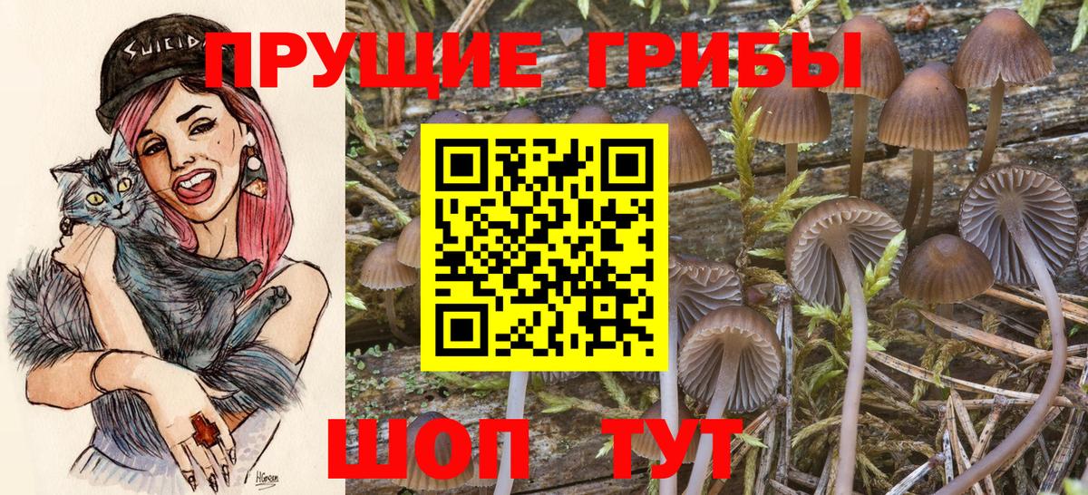 Псилоцибиновые грибы Magic Shrooms Кропоткин