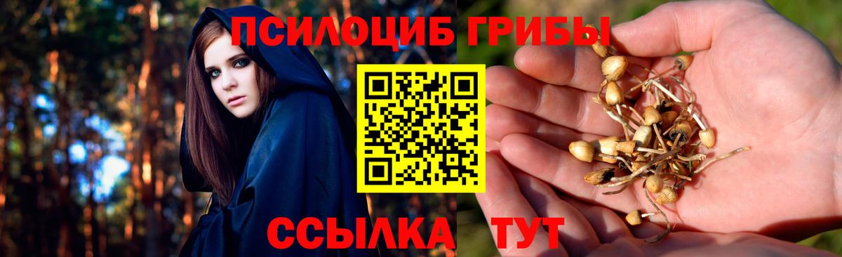 Кропоткин  Псилоцибиновые грибы Psilocybine cubensis  Галлюциногенные грибы мицелий  Вход с VPN 